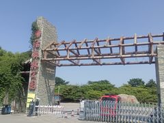 -塘沽森林公园