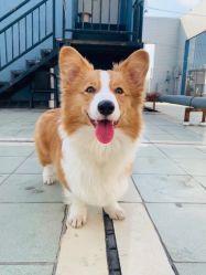 -彦瑾·TATTOOstudio