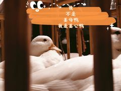 -馬蘭花開(车站大道店)