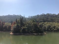 -滴水岩森林公园