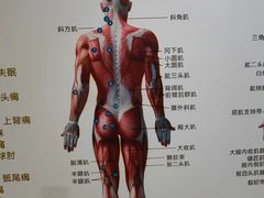 -通透堂中医·精准推拿(旗舰店)