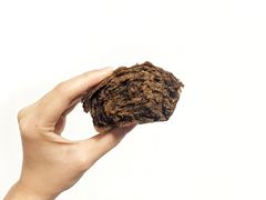 -老回回饺子馆(海洋馆店)