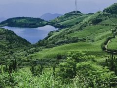 -东白山
