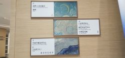 -杭州医学院附属妇儿医院