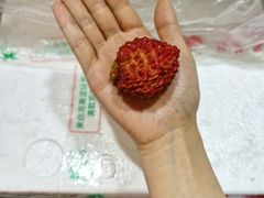 -南京众彩农副产品配送有限公司