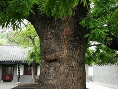-孔府