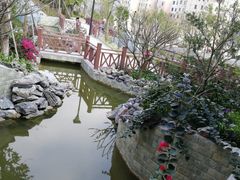 -小南山公园