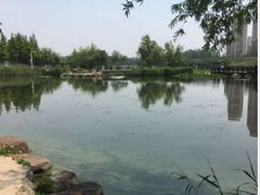 -前关湿地公园