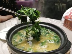 上汤野苋菜-四海酒家生态粤菜