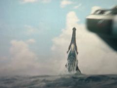 -上影国际影城(普陀绿地缤纷城店)