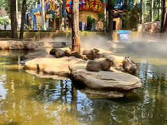 -北京野生动物园