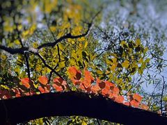 -广州市白云山风景名胜区