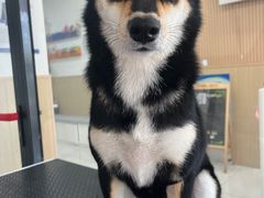 -味多美蛋糕(旧头路店)