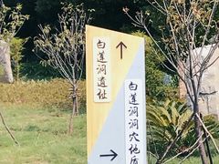 -柳州白莲洞洞穴科学博物馆