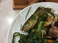 -畅想汤泉生活(民治店)