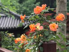 -南京东郊国宾馆