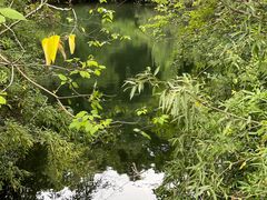 -柯岩风景区