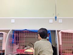 -瑞鹏宠物医院·骨科·猫科·内科(第一中心)