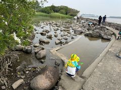 -吴淞炮台湾湿地森林公园烧烤区