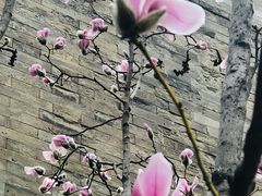 -东华门大街小区