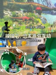 -卡森乐园