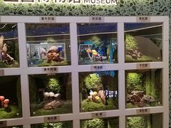 -芸山季·云南山珍菌火锅(南翔印象城MEGA店)
