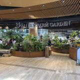 O’mills前滩太古里的新店🍀绿色田园风
