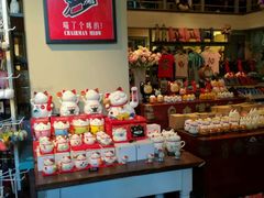 -猫咪博物馆(顶澳仔猫街店)