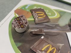 -麦当劳(北京大兴机场二层国内到达(安检外)店)