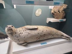 -国家自然博物馆