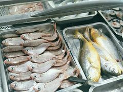-海之鲜大排档(东山海鲜金銮湾店)