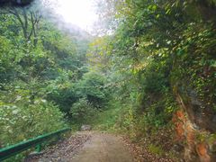 -神农架景区