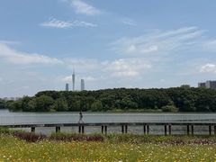 -海珠湖公园