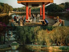 -金砂公园