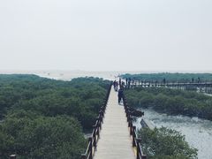 -北海金海湾红树林生态旅游区