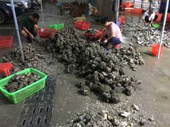 -蚝专家(北滘店)