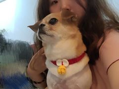 -宠颐生猫科·内科皮肤科(西平世纪城店)