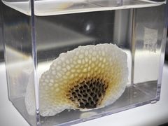 -上海当代艺术博物馆