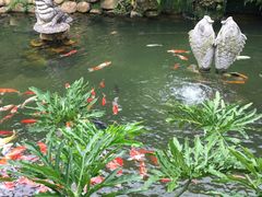 -龙山酒店温泉