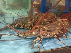 -阿伟海鲜楼·福建菜(延寿店)