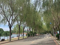 -丁香湖公园