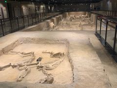 -洛阳周王城天子驾六博物馆