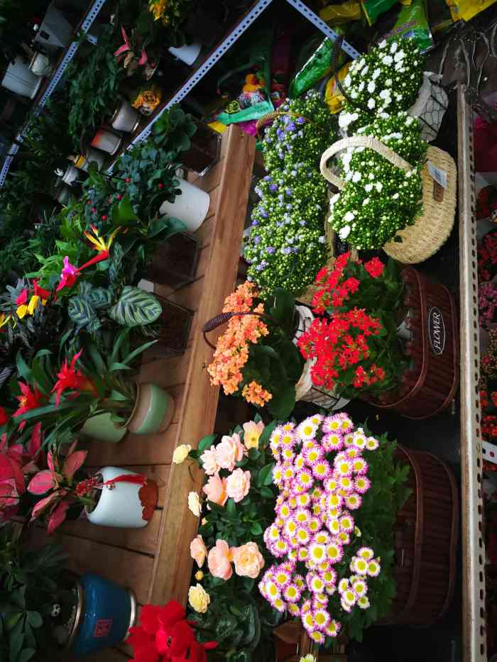 金地花卉大观园嘉茂鑫源绿植鲜花-"一直听说这个地方,周末正好路过