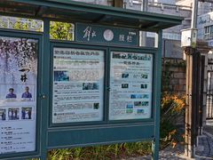 -嘉定紫藤园