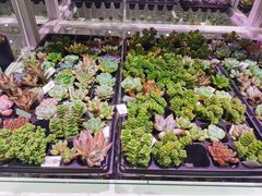 -KKV(深圳宏发大仟里店)