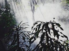 -梵天禅寺