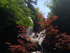 -大围山国家森林公园