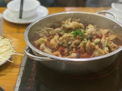 -专业跳跳蛙·彭彭老铺(步行街店)
