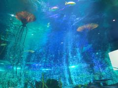 -沈阳海洋探索中心