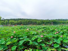 -承德避暑山庄景区
